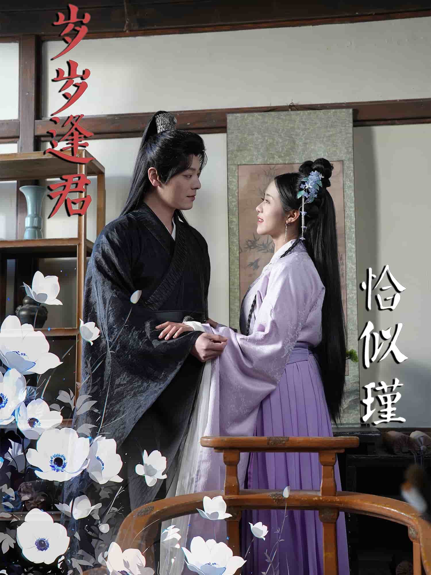 岁岁逢君恰似瑾(全集)