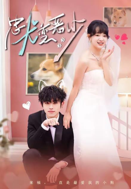 惊！我家来福变恶少了(全集)