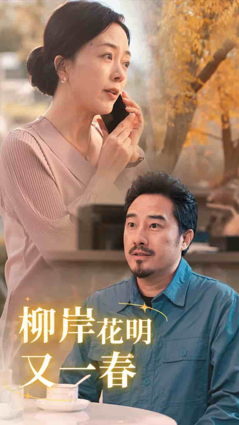 柳暗花明又一春第03集