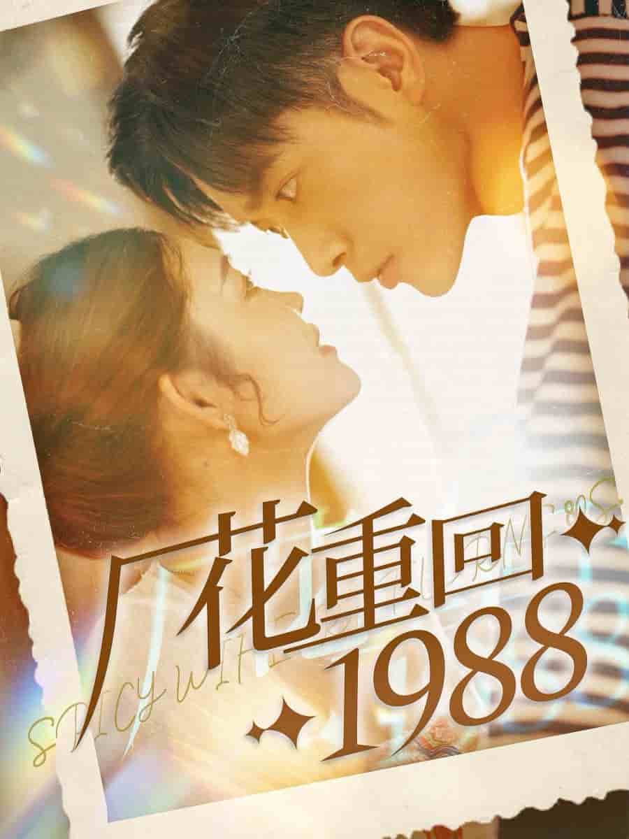 厂花重回1988第34集