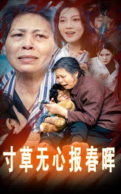 寸草无心报春晖(全集)