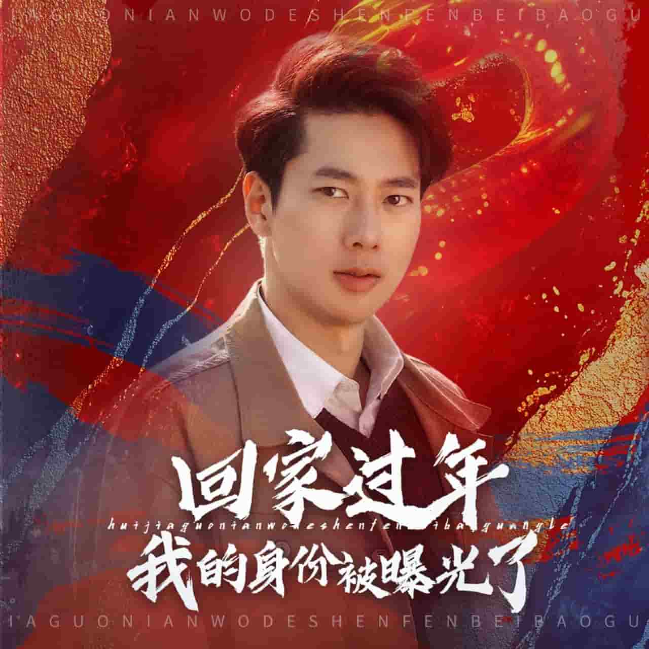 回家过年我的身份被曝光了第2集